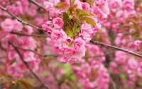 世界登山青年论坛：环保与技能培训并重，登山环保公益活动