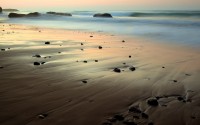 世界短跑社群挑战赛：草根选手登上城市舞台，短跑世界排名最新排名